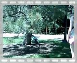 Picture029.mp4 video by msgmsgmsg