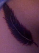 feather tattoo. new feather tattoo.