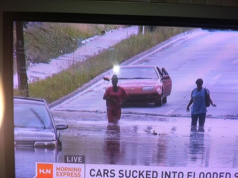  photo photo-1_zps688d74a8.jpg