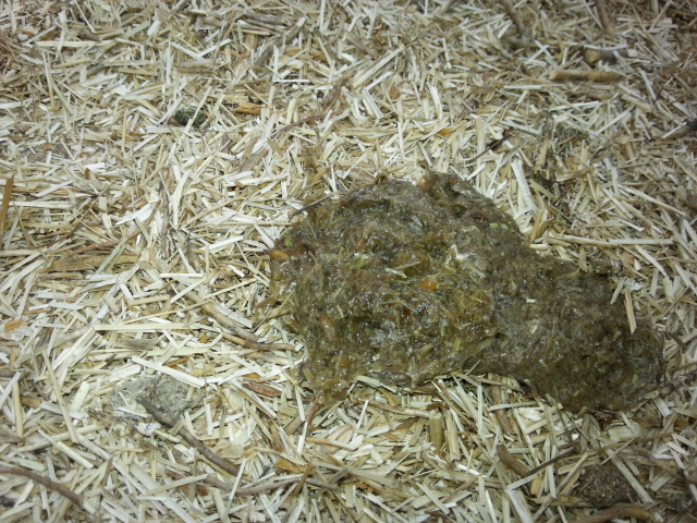 2013-04-12143937_zps6407ed5f.png
