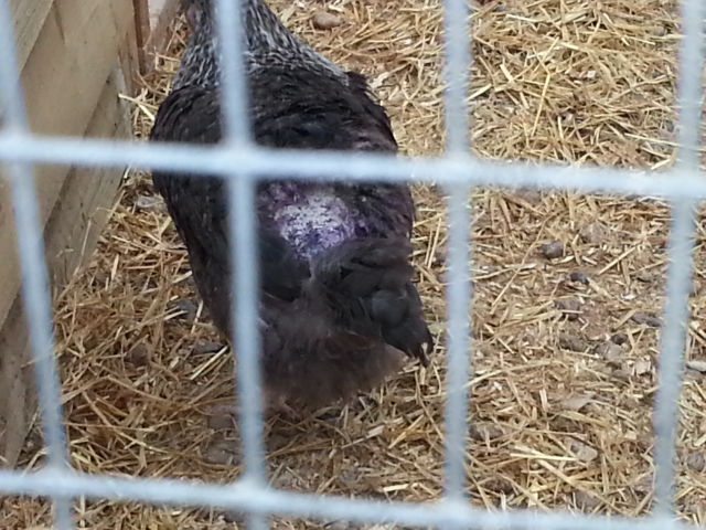 2013-04-13172810_zpsbd98e83c.png