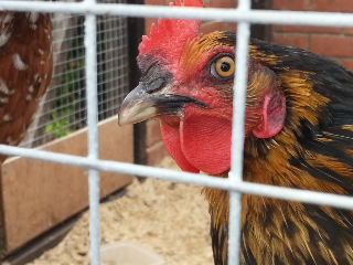 2013-07-02142144_zpsd5b0bb9c.png