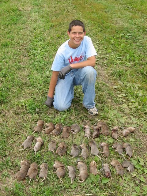 8-6-09gophertrapping30001.jpg