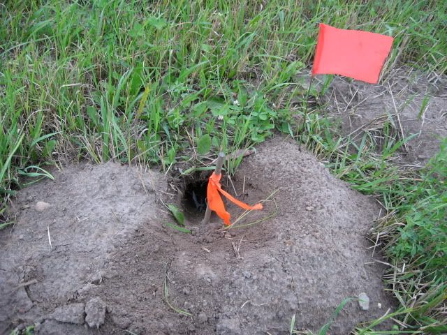 8-8-09gophertrappics002.jpg