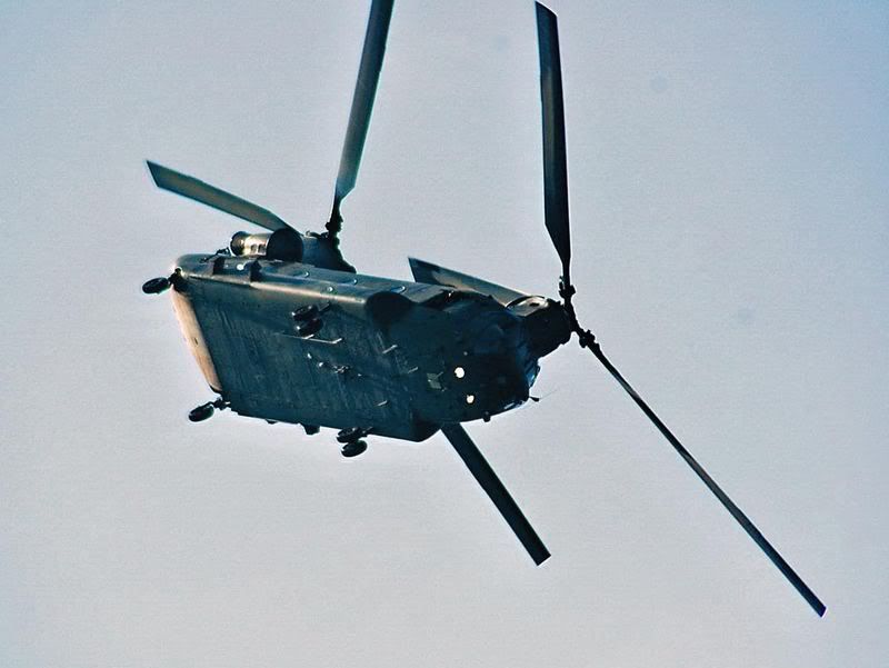 http://i130.photobucket.com/albums/p279/davie_j_p/rafchinook.jpg