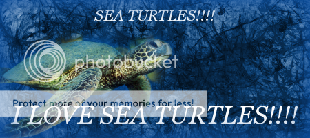 .SEATURTLES.png