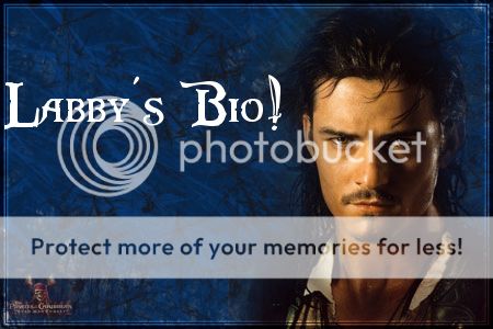 willturner.labbybanner.png