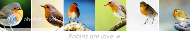 robin theme by tmg_icons