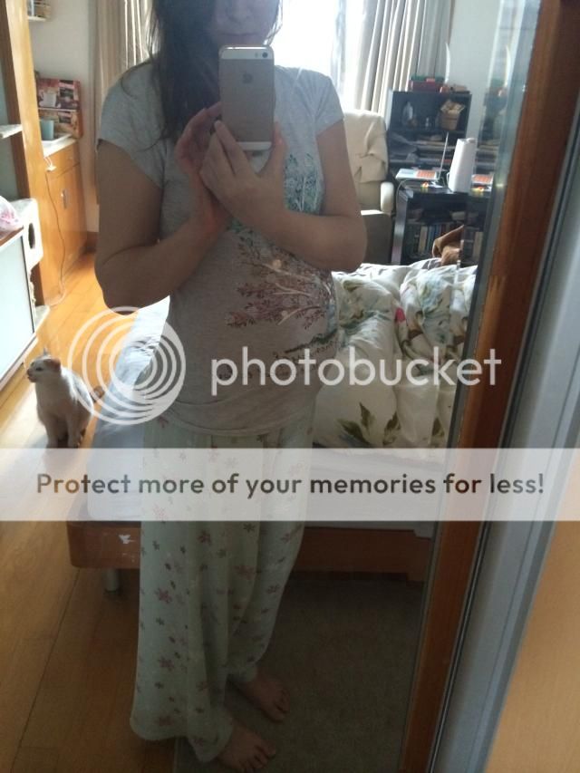 photo BD377B80-126C-4158-8BE6-ABC854F57A8F_zpsjzev8s6f.jpg