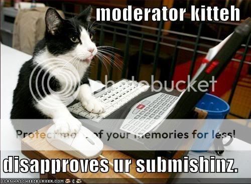 modkitteh.jpg