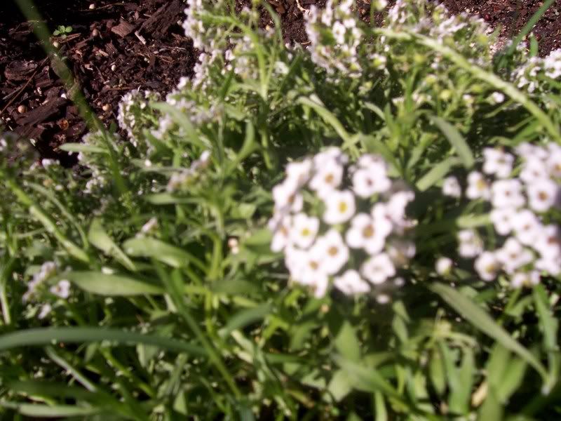 000_0677.jpg