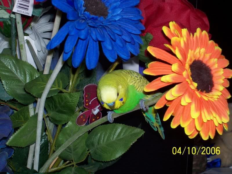 100_0721.jpg