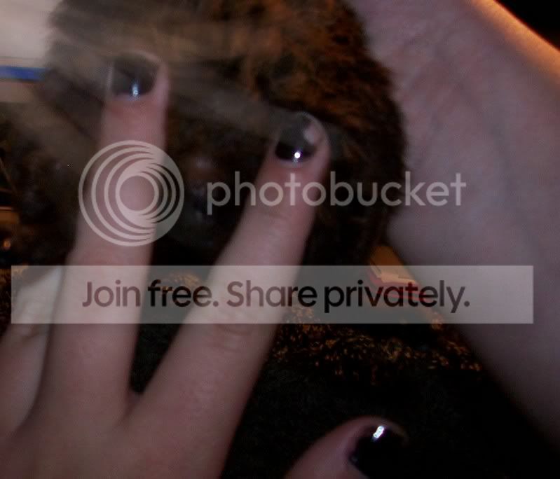100_2831.jpg