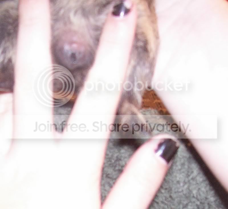100_2835.jpg
