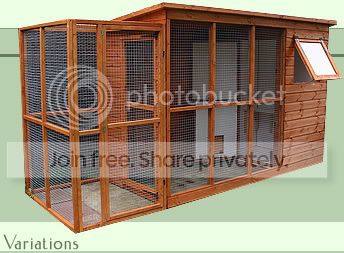 pic_catwedge_1.jpg