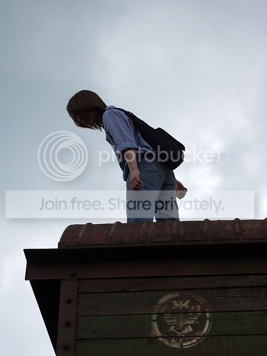 Photo Sharing and Video Hosting at Photobucket