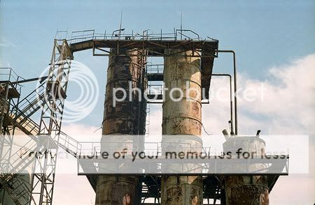 Photo Sharing and Video Hosting at Photobucket