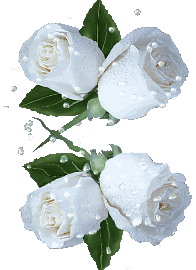 Https Encrypted Tbn0 Gstatic Com Images Q Tbn 3aand9gcsnn1xj89rjs7rf9dm4vn4no3g8hqrgrydb3g Usqp Cau